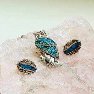 Crushed Turquoise Pierced Earrings and Owl Pin Silver Tone
